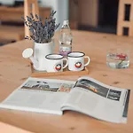 Eco Boutique Ams Beagle Hotell