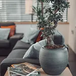 Eco Boutique Ams Beagle Отель