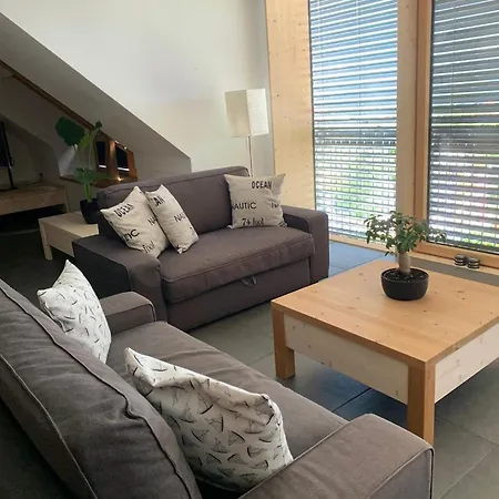 Eco Boutique Ams Beagle