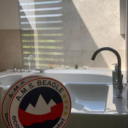 Отель Eco Boutique Ams Beagle