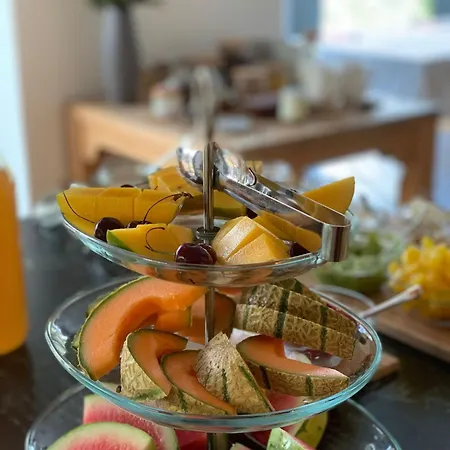 Eco Boutique Ams Beagle