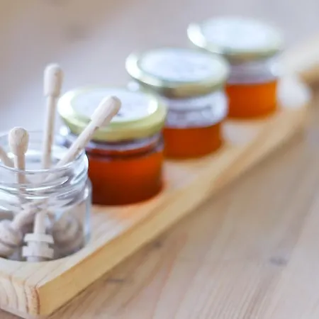 Ξενοδοχείο Eco Boutique Ams Beagle 4*