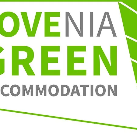 Eco Boutique Ams Beagle