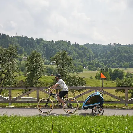 Eco Boutique Ams Beagle Bled