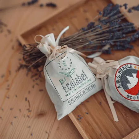 Eco Boutique Ams Beagle Bled