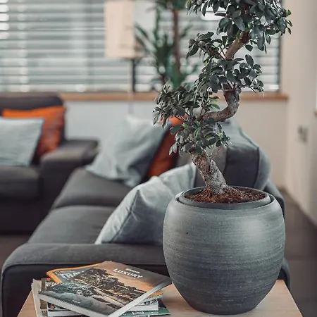Eco Boutique Ams Beagle Отель