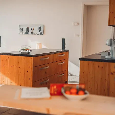 Hotel Eco Boutique Ams Beagle 4*