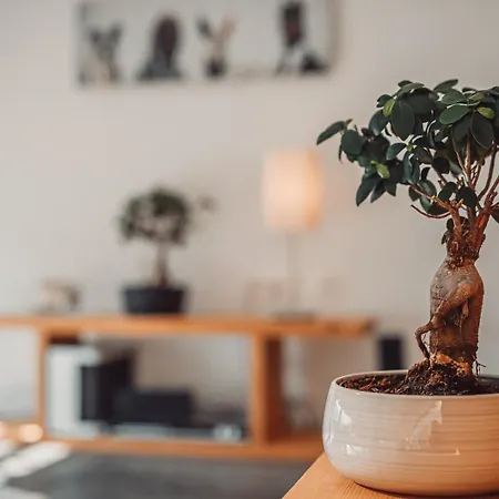 Eco Boutique Ams Beagle Ξενοδοχείο