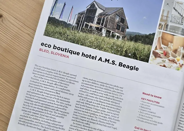 Eco Boutique Ams Beagle Bled