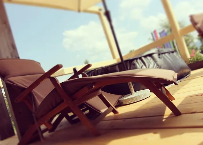 Eco Boutique Ams Beagle