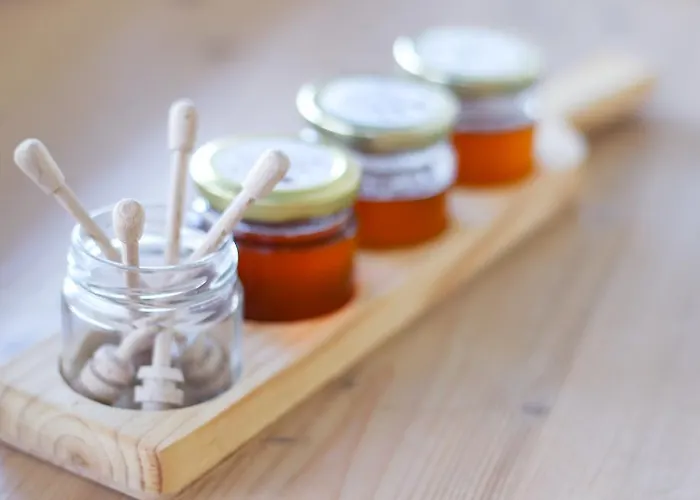 Hotel Eco Boutique Ams Beagle 4*