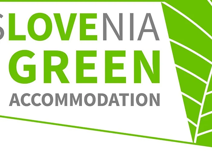 Eco Boutique Ams Beagle