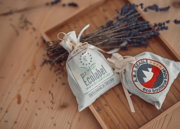 Eco Boutique Ams Beagle Bled