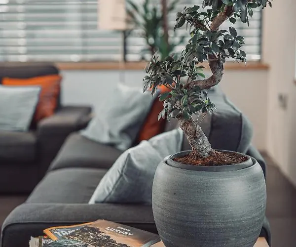 Eco Boutique Ams Beagle Hotel