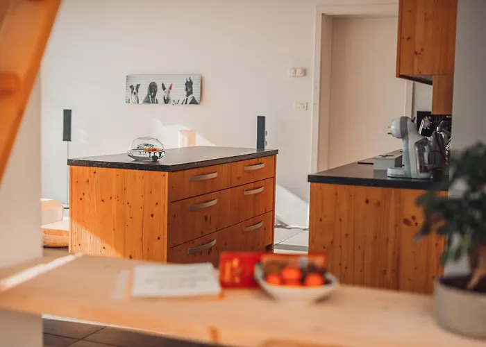 Hotel Eco Boutique Ams Beagle 4*