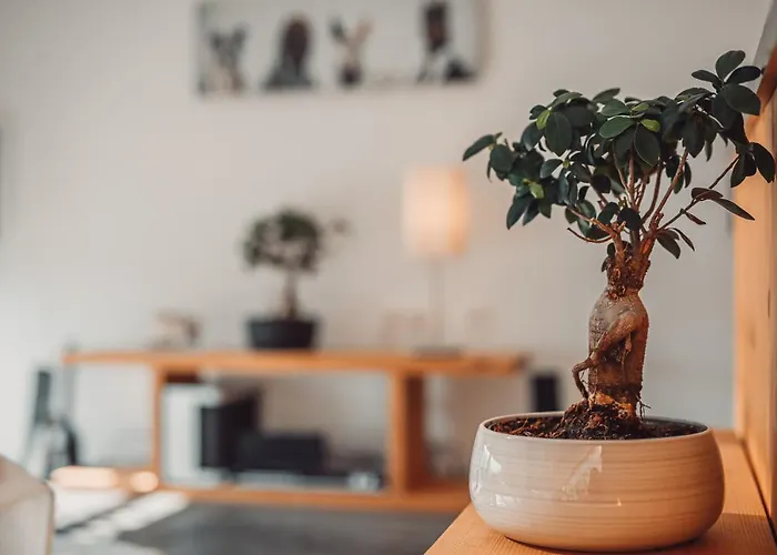 Eco Boutique Ams Beagle Szálloda